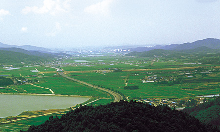 01대흥리전경